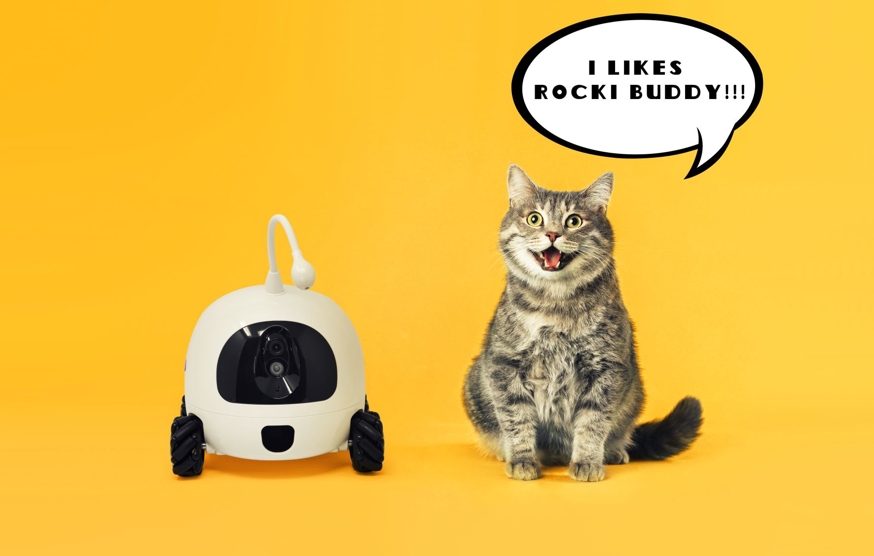 Intelligent Robot Cat for Various Smart Uses 